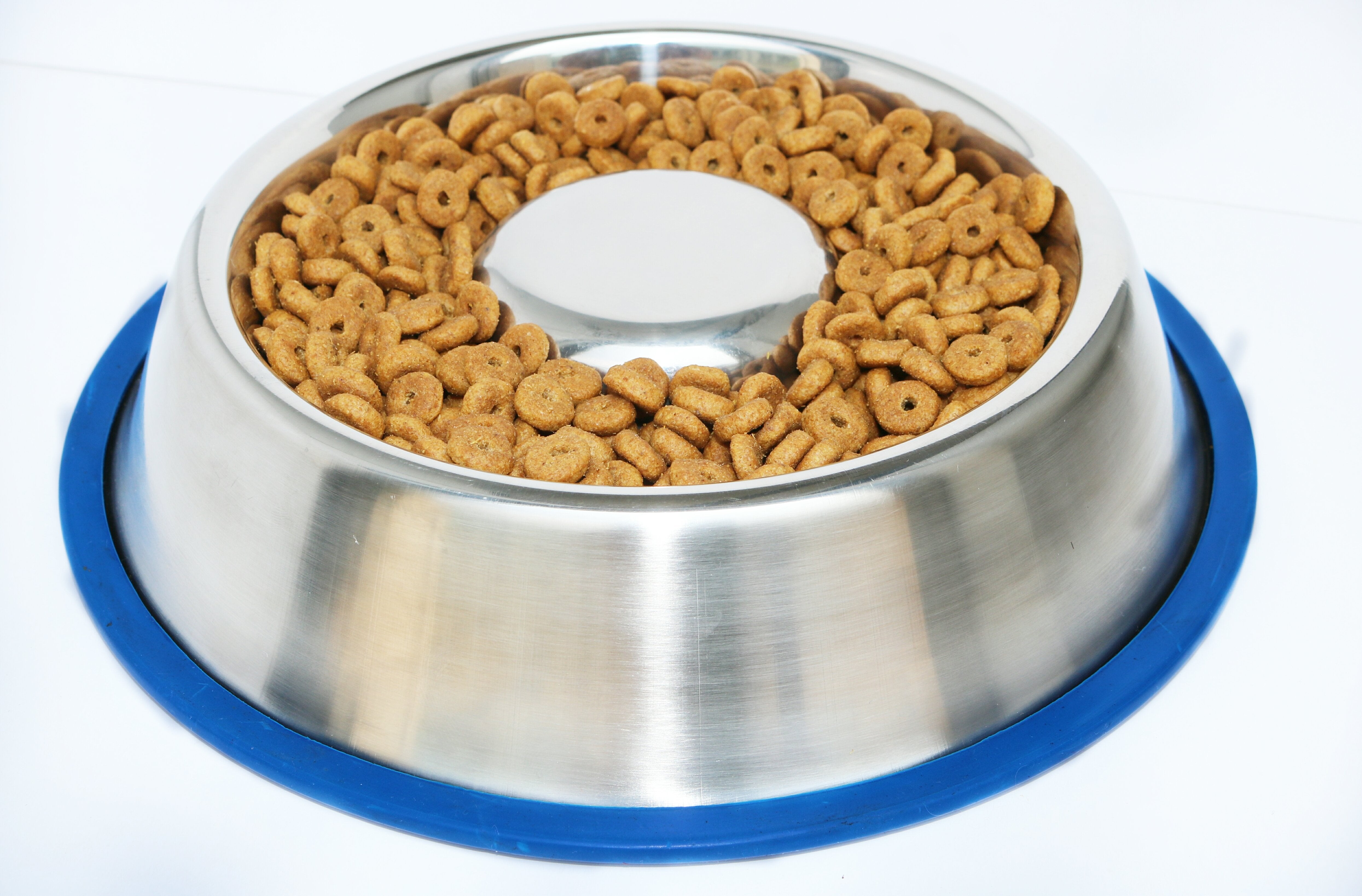 Stainless Steel Slow Feed Dog Bowl - 4 Cup Extra Large Pet Slow Feeder, 2  Standard Metal Bowls Fit Elevated Feeders, Eating Bowl, Stops Dog Food  Gulping, Dog Food and Water Bowl