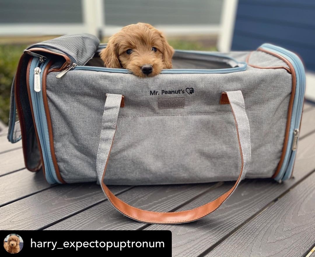 Mr. Peanut's Airline Approved Soft Sided Pet Carrier, Low Mr. Peanut's Airline Approved Soft Sided Pet Carrier, Low