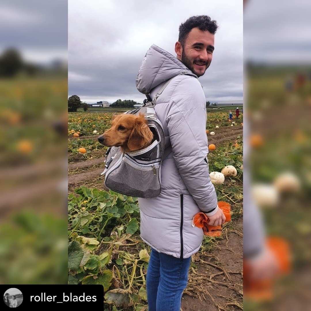 Man carrying a dog in a backpack at a pumpkin patch.