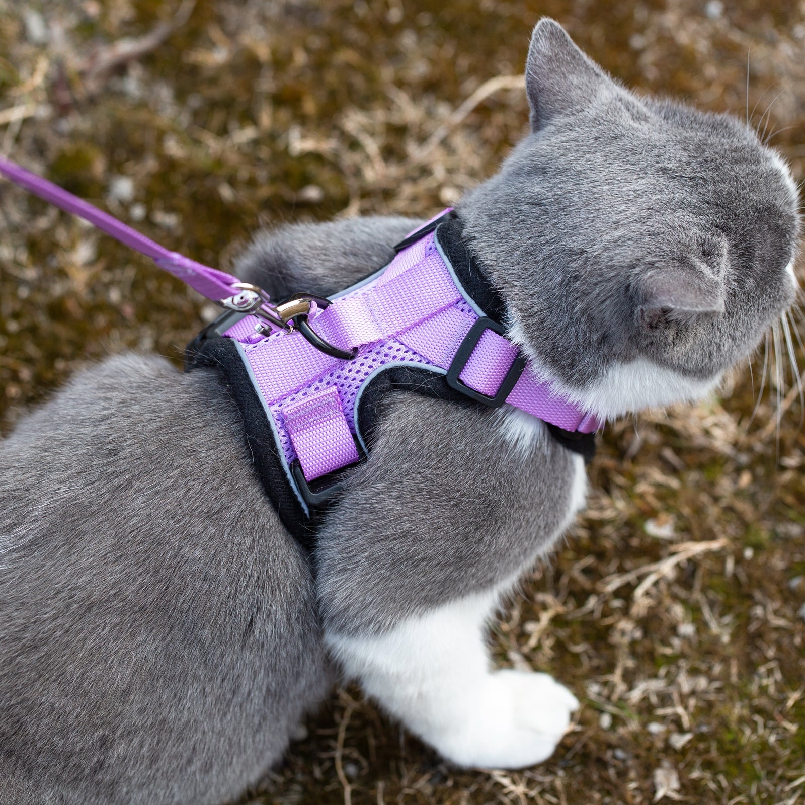 Peanut's PurrTrek Reflective Cat Harness with Matching Leash
