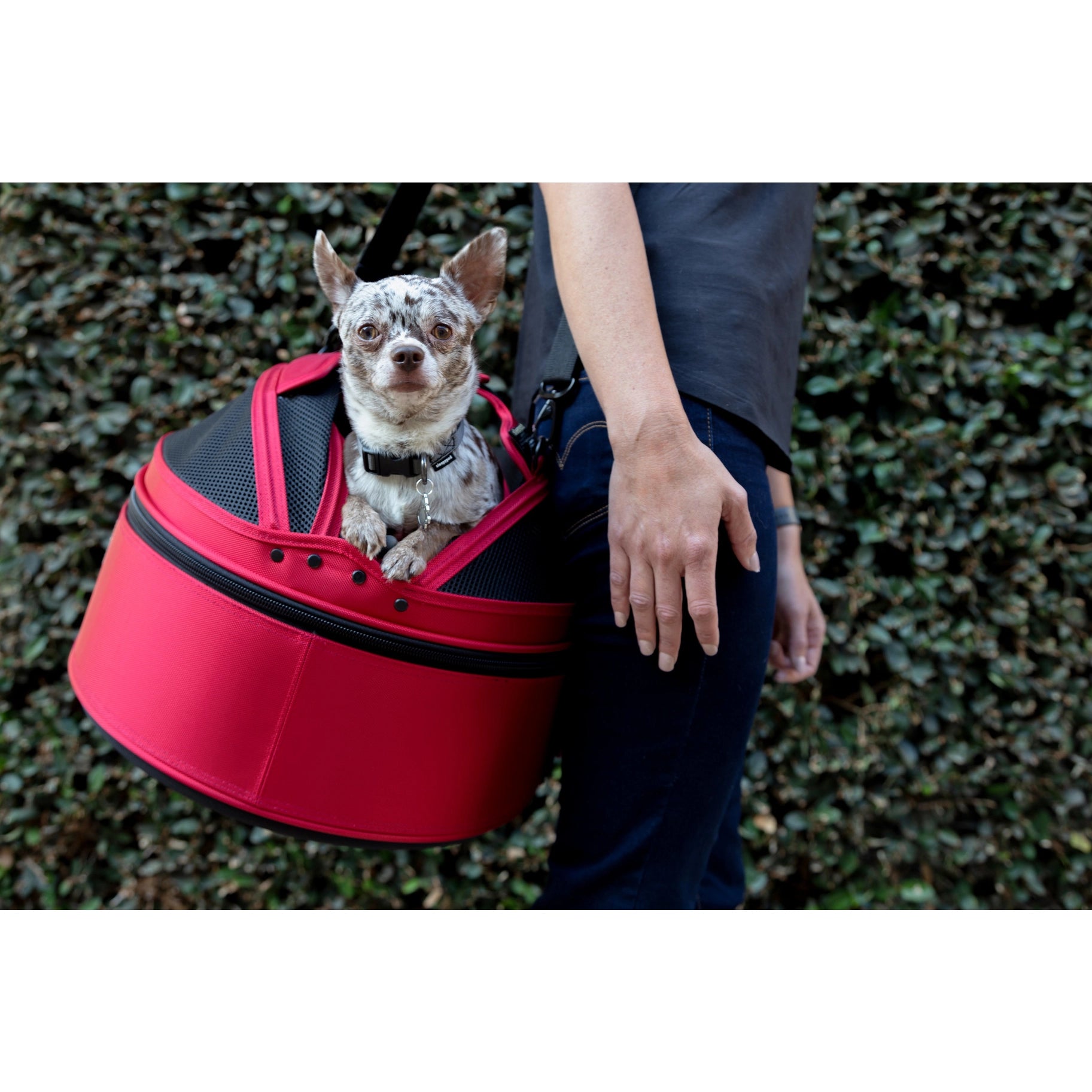 Sleepypod mobile pet 2024 bed