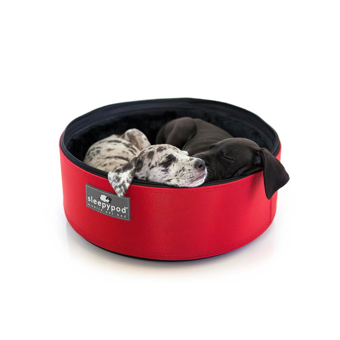 Sleepypod Mobile Pet Bed – Crash-Tested, Ultra-Plush Travel Bed Sleepypod Mobile Pet Bed – Crash-Tested, Ultra-Plush Travel Bed